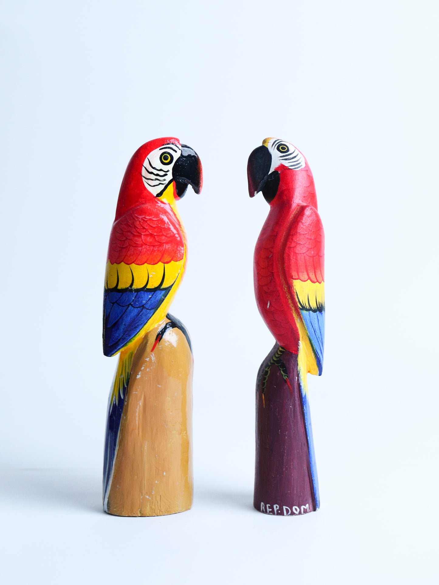 Guacamayo con base